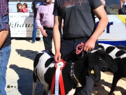 2019_ausstellung polling_599